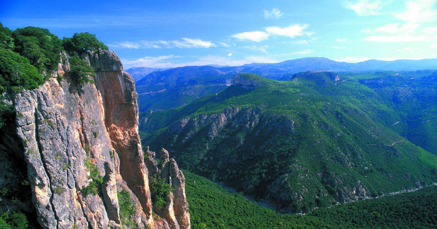 Forestas Sardegna Concorsi